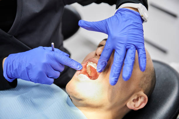 Best Emergency Dental Care for Abscessed Tooth in Willow, AK
