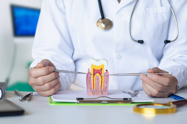 , AK Emergency Dentist Company